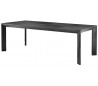Tremont spisebord i egetræ og egefinér 225 x 100 cm - Charcoal