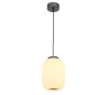 Loftlampe i glas og metal Ø20 cm 1 x 21W LED - Antracit/Opalhvid