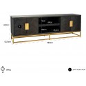 Blackbone tvbord i egetræ og stål B220 cm - Sort/Guld