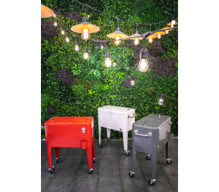 Retro kølevogn i stål og polypropylene 74 x 43 cm - Rød 2