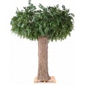 Stort kunstigt Ficus træ H320 x Ø450 cm