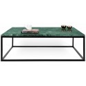 TemaHome Prairie sofabord i metal og marmor 120 x 75 cm - Krom/Grøn marmor