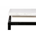 TemaHome Prairie sofabord i metal og marmor 120 x 75 cm - Sort/Grøn marmor