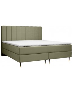 Kobbe kontinentalseng med...