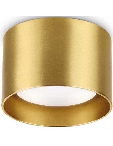 SPIKE Loftlampe i aluminium Ø10 cm 1...