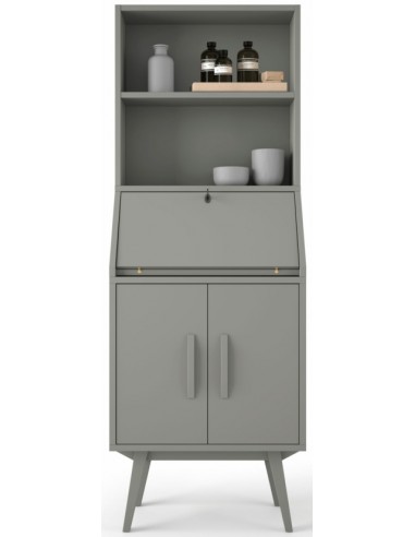 Auxiliar sekretær skab til...