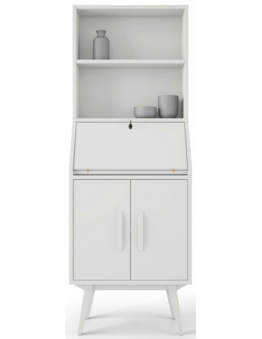 Auxiliar sekretær skab til...