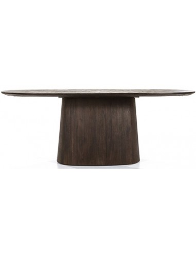 Aron aflangt spisebord i mangotræ 200...