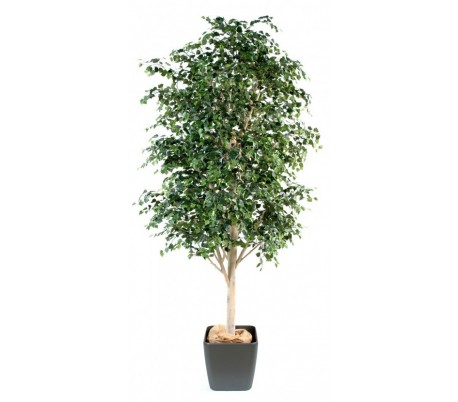 Stort blomstertræ H300 cm - Hvid