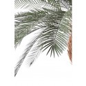 Stor kunstig Phoenix palmetræ H280 cm
