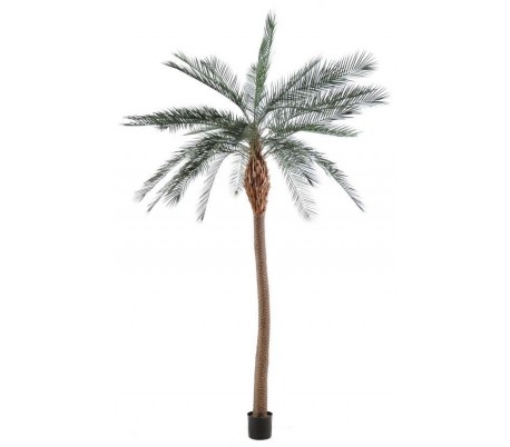 Stort kunstigt ficustræ H480 cm