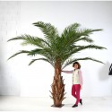 Stort kunstigt palmetræ H690 cm