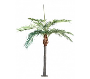Stort kunstigt palmetræ H550 cm