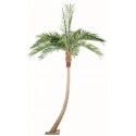 Stort kunstigt palmetræ H400 cm