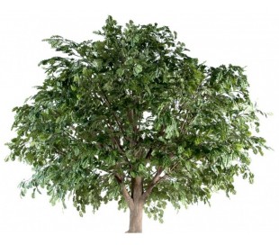 Stort kunstigt træ H350 cm 2