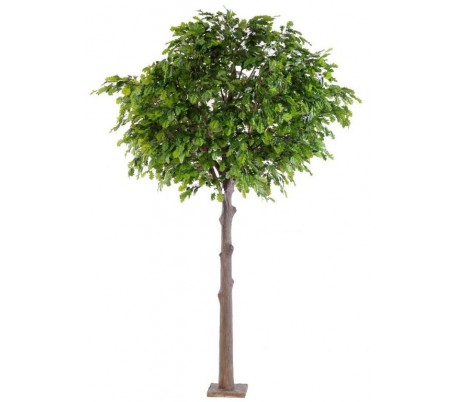 Stort kunstigt egetræ H300 cm