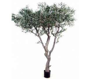 Stort kunstigt Oliventræ H270 cm 2