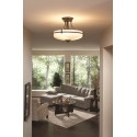 Griffin Semi-Flush Plafond Ø53,3 cm 4 x E27 - Antik nikkel/Satin